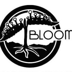 Bloom Seed Co. logo