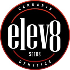 Elev8 logo