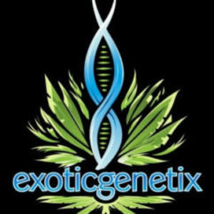 Exotic Genetix logo