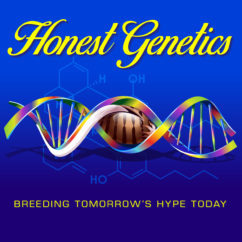 Honest Genetics logo