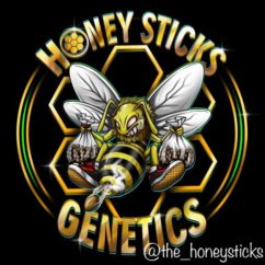 Honey Sticks Genetics logo