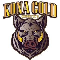 Konagold Genetics logo