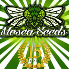 Mosca Negra logo