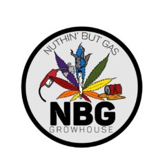 NBG logo