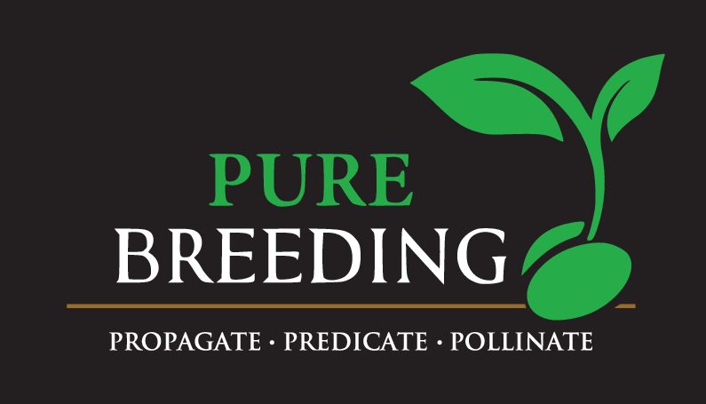 Pure Breeding logo